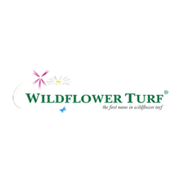 Wildflower Turf