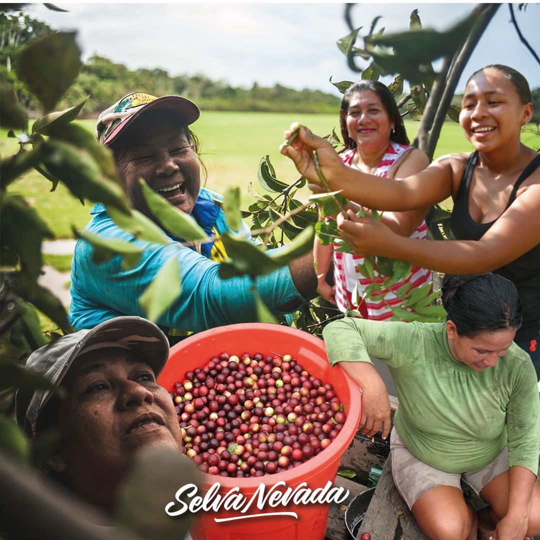 Rescuing the Flavors of Colombian Biodiversity with Healthy Food / Los sabores de la biodiversidad colombiana con alimentos sanos