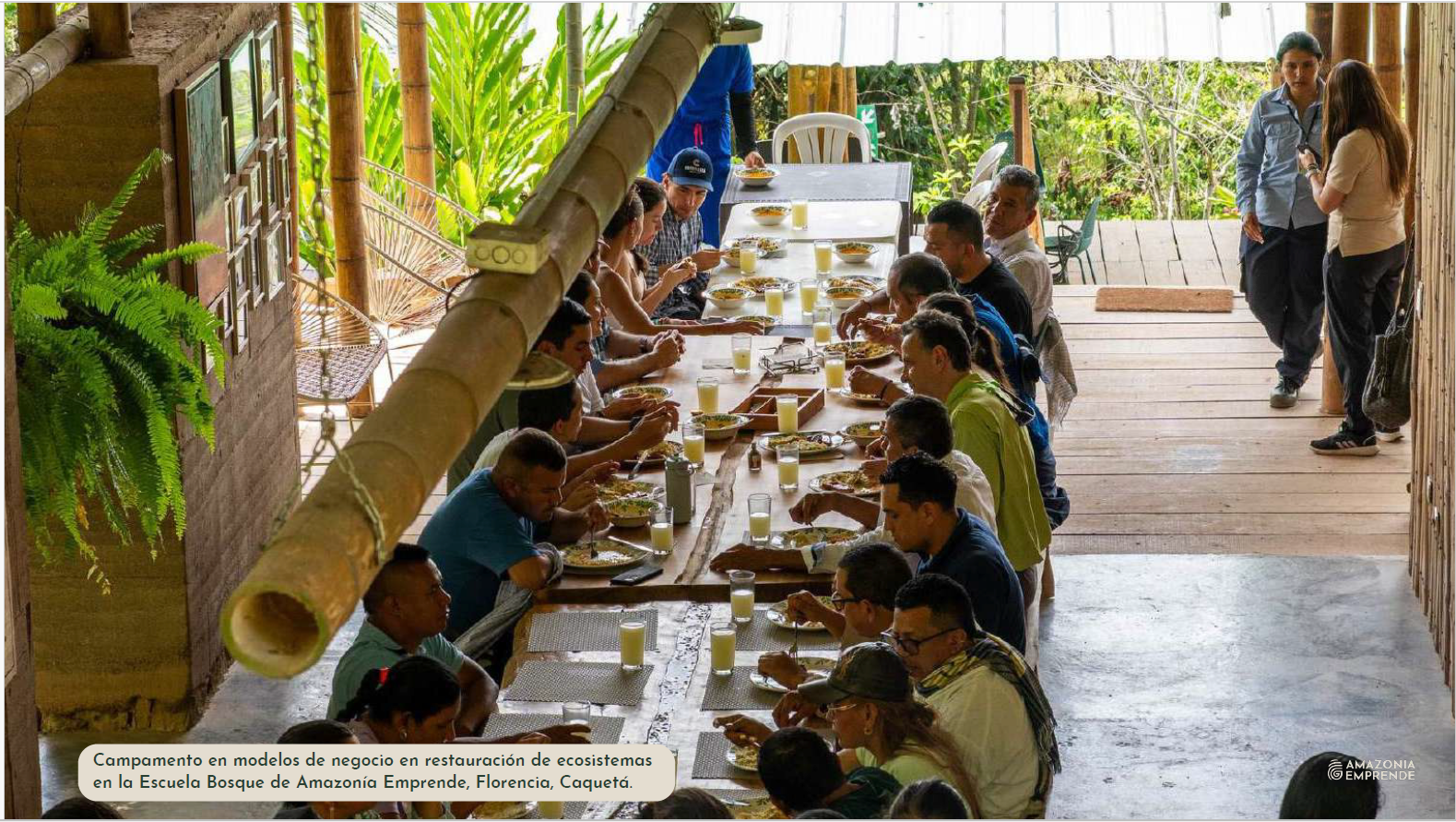 Ecosystem Restoration in the Amazon / Restauración de Ecosistemas en la Amazonía