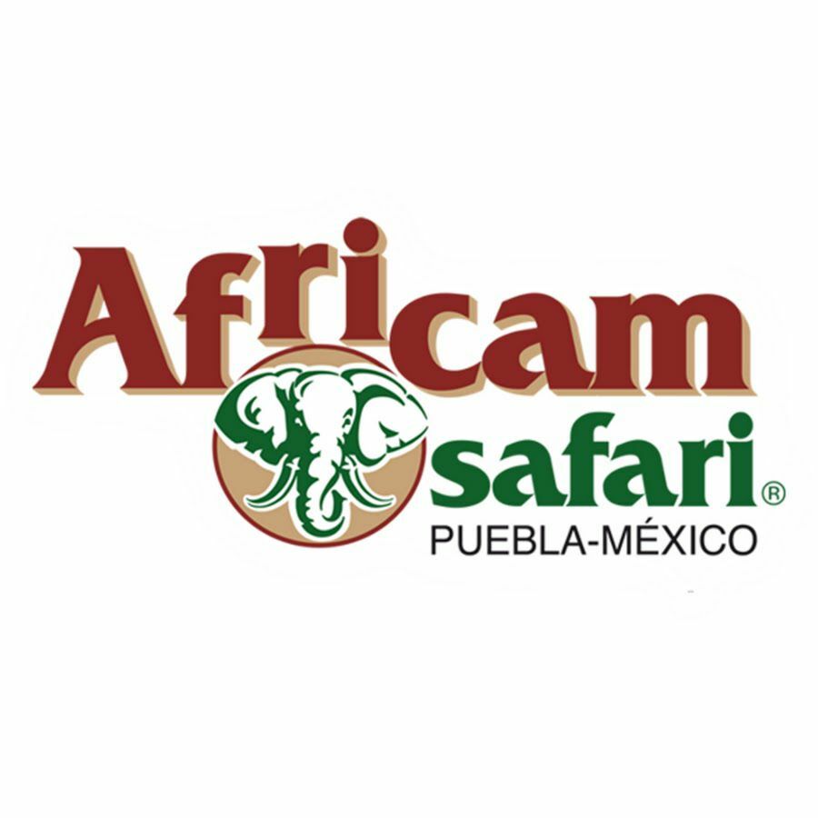 Africam safari