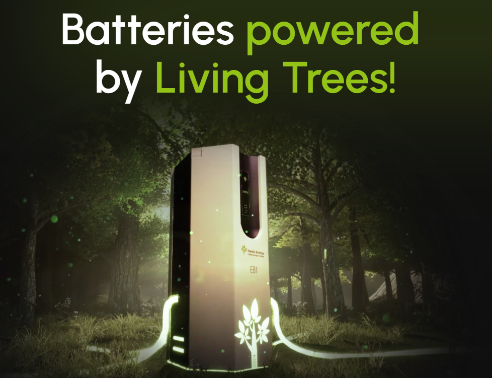 Rethinking Energy Storage Sustainability / Reconsiderando la sostenibilidad del almacenamiento energético