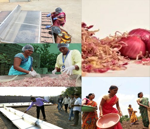 Drying Away Waste, Harvesting Prosperity