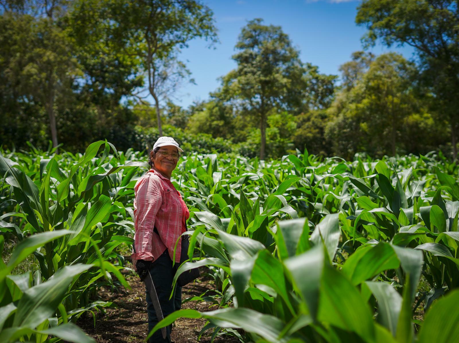 The Water that fell from the Sky (and No One Caught It)