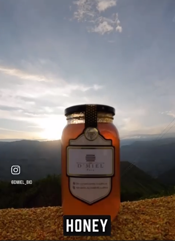 Beekeeping for forest conservation and regeneration / Apicultura para la conservación y regeneración de bosques
