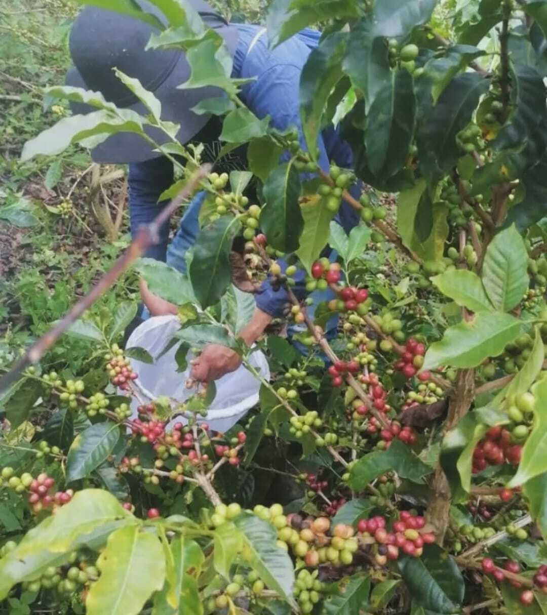 Photo of interviewee