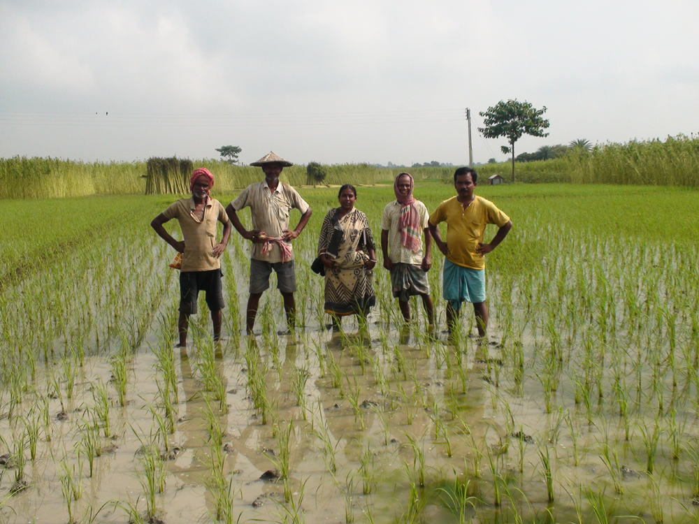 ONganic - Seed to Shelf Model to a More Sustainable Future