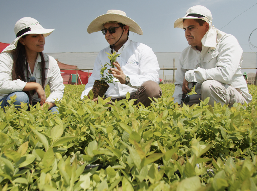 Machinery that revolutionized an industry