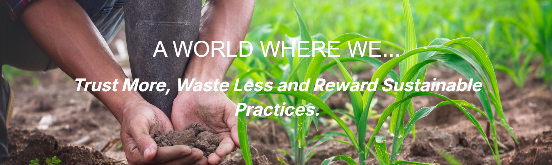 Building Trust and Sustainability from Gate to Plate