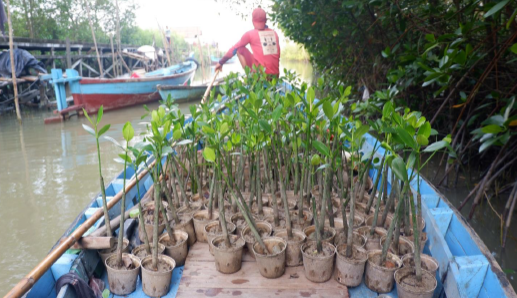 Empowering Youth through Film and Sustainability