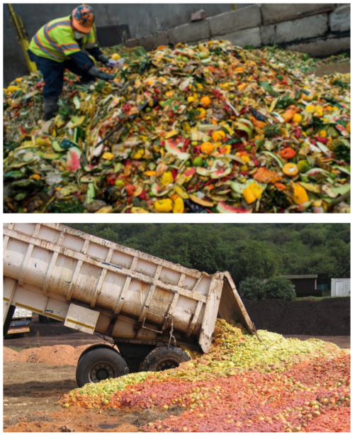 Redefining Sustainability Through Bioinnovation / Redefiniendo la sostenibilidad a través de la bioinnovación