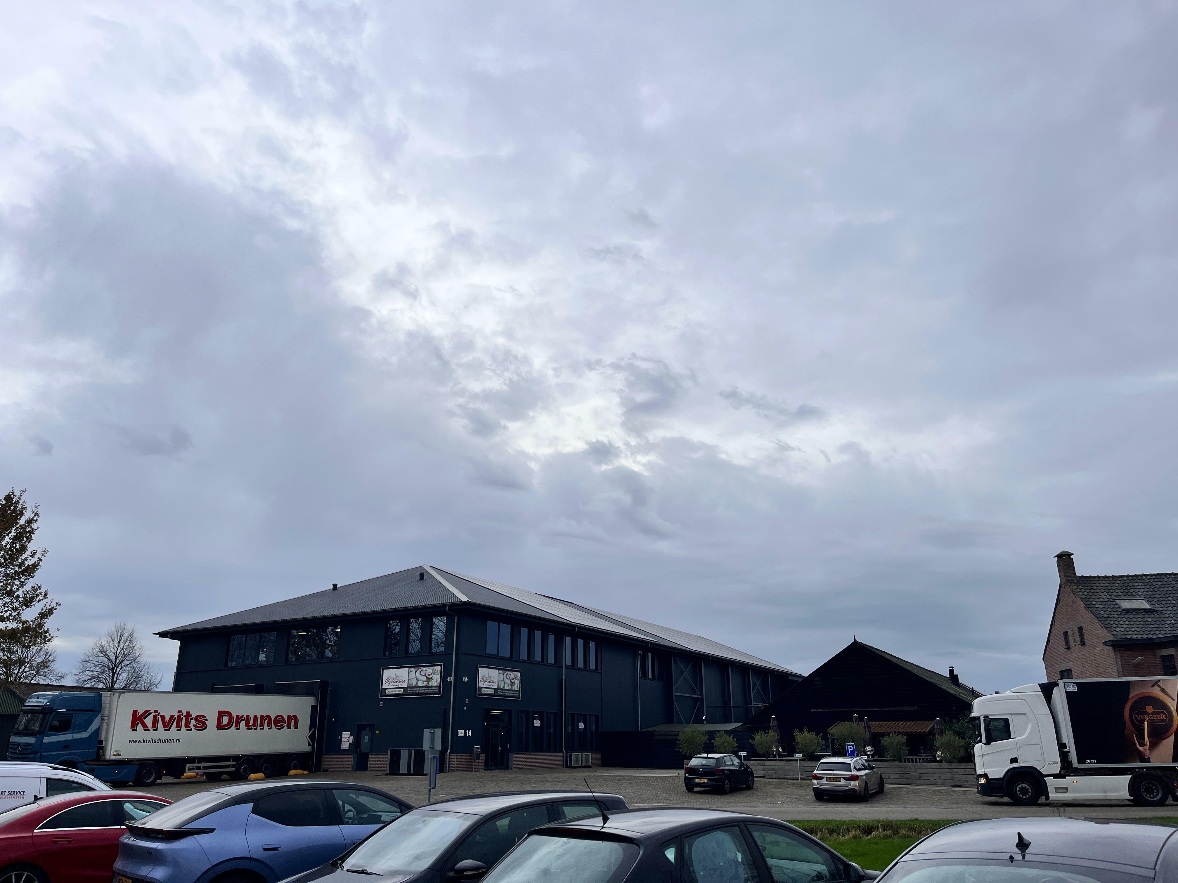 Cheese with Purpose: The DeJong Way