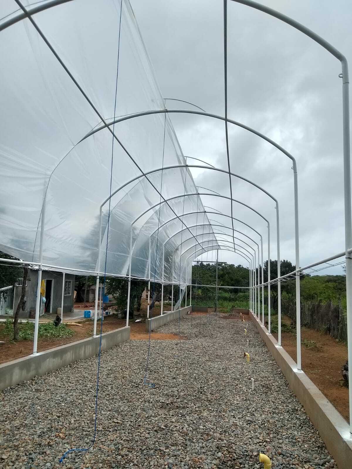 Greenhouses with seawater / Invernaderos con agua de mar