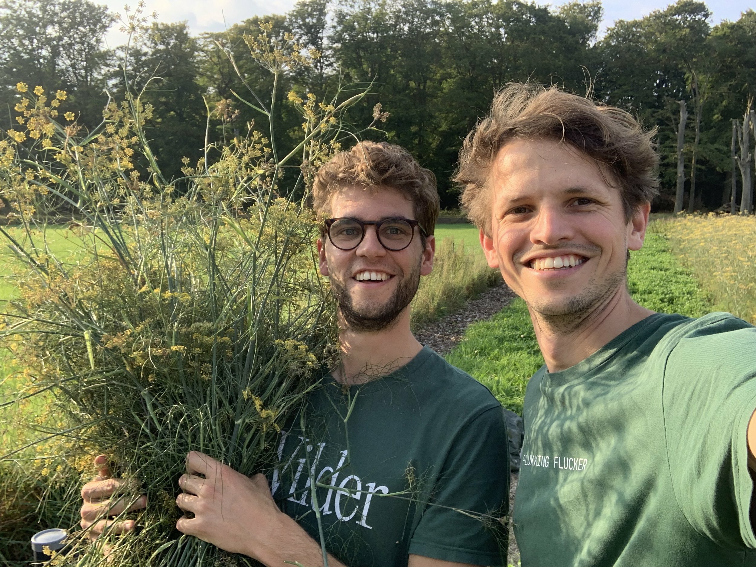 Regenerating Nature through Native Products