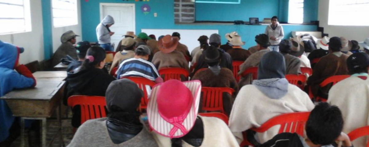 Colecta 2