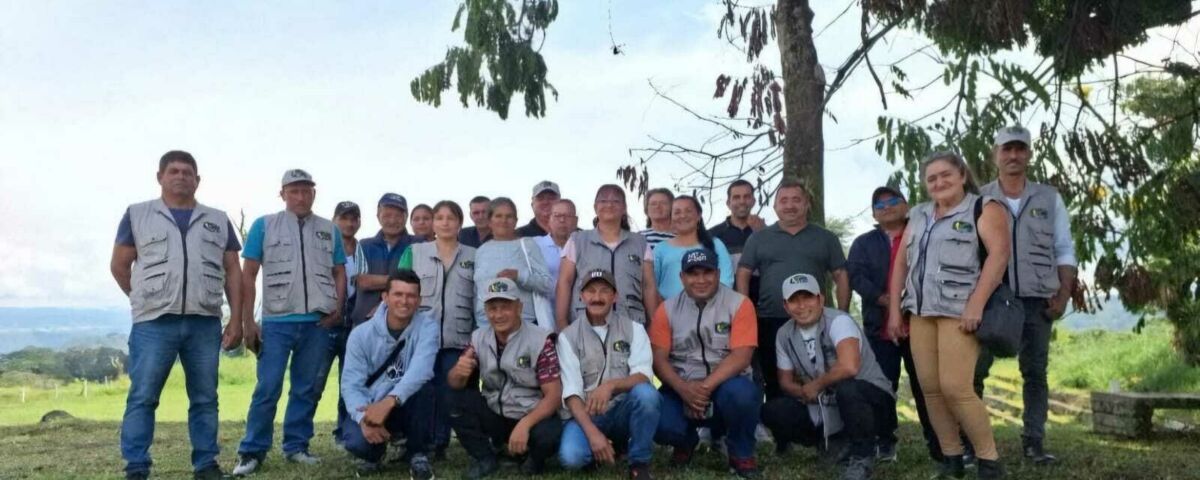 Imagen de Whats App 2025 11 08 a las 00 37 45 a9dfbfda