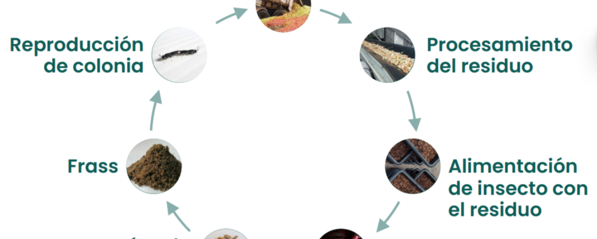 Screenshot 2025 12 12 082211