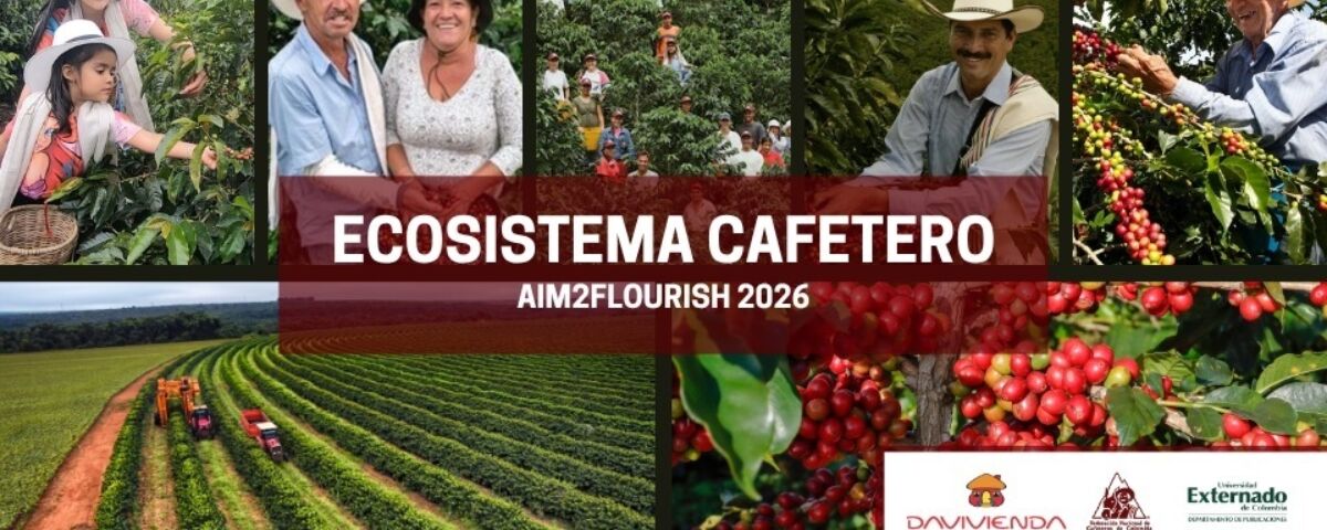 Whats App Image 2026 04 07 at 10 07 41 AM 1