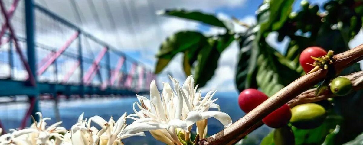 Whats App Image 2026 04 07 at 9 53 32 PM 3