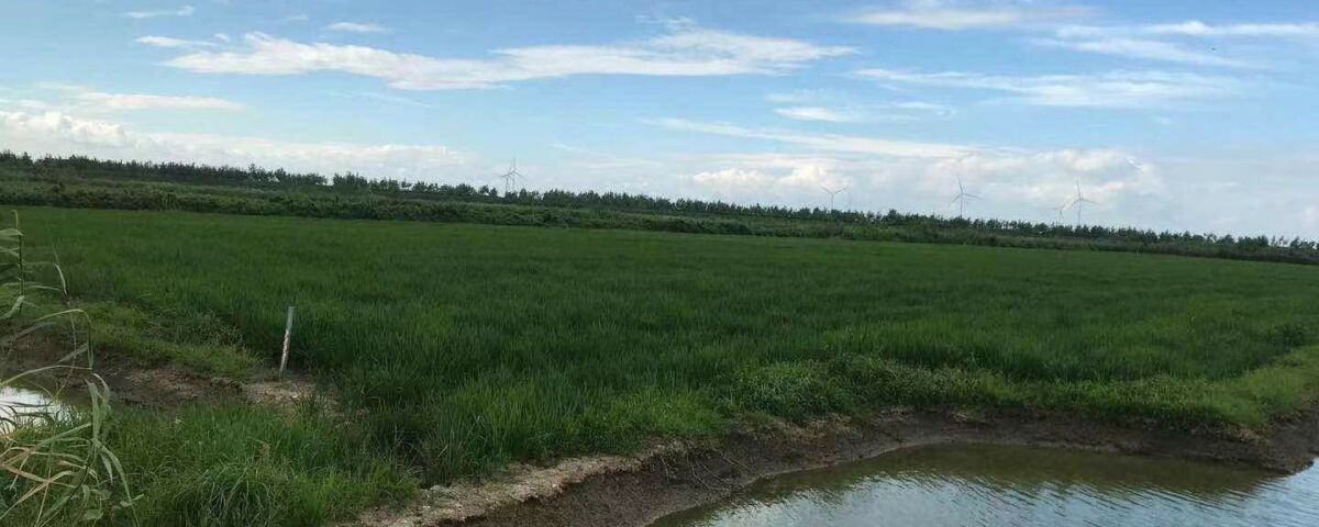 Producer meetings offer crawfish raising tips - Rice Farming