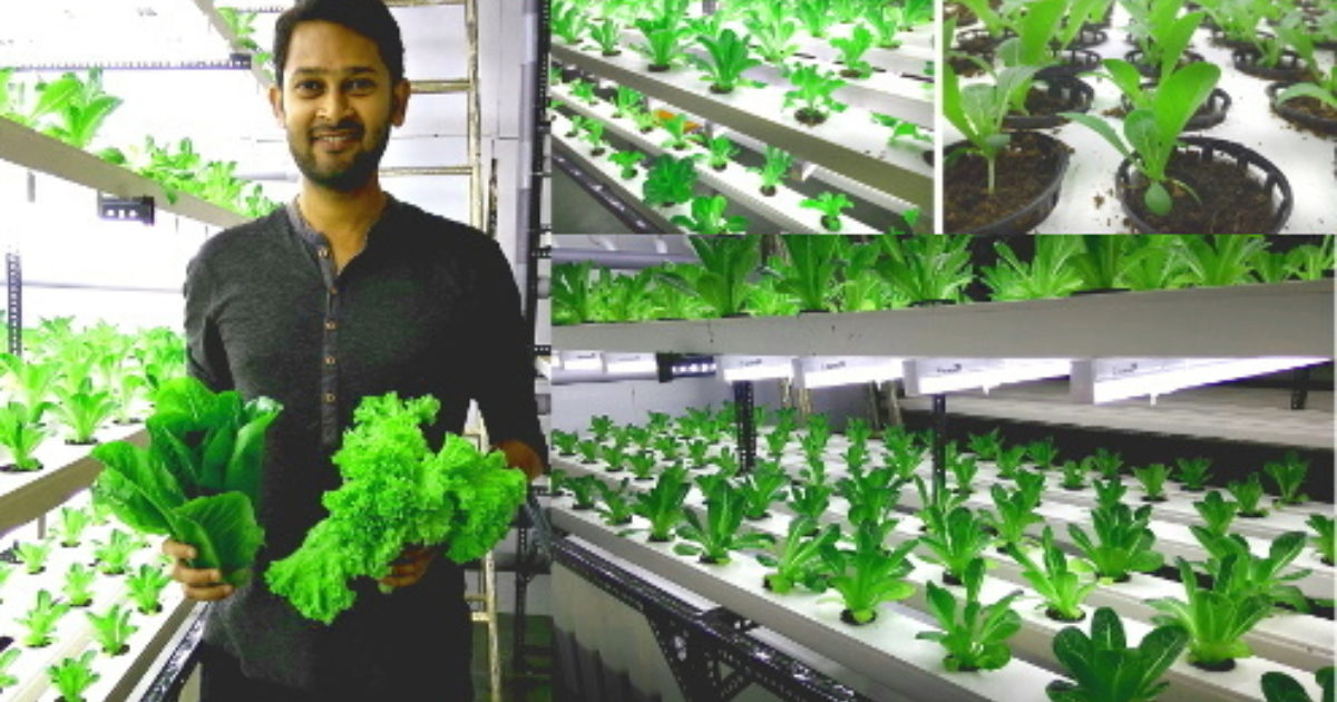 Aim2flourish Pesticide Free Food No Longer A Luxury 2:07 green tv india 285 444 просмотра. aim2flourish