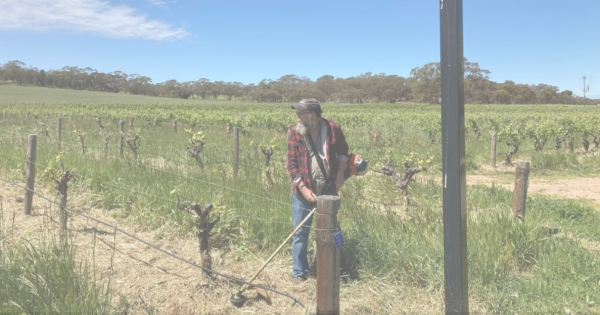 AIM2Flourish Green Lane Farm, A story of Sustainable Agriculture