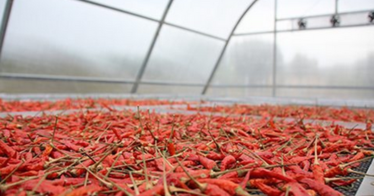 điện mặt trời bảo quản và sấy khô nông sản