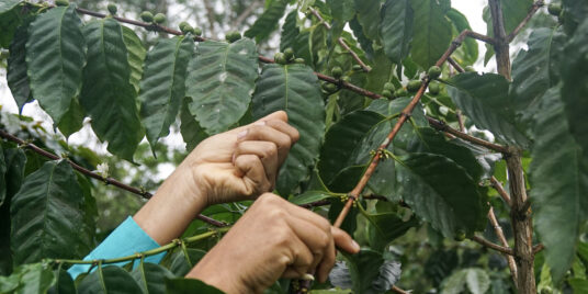 The Water that fell from the Sky (and No One Caught It)
