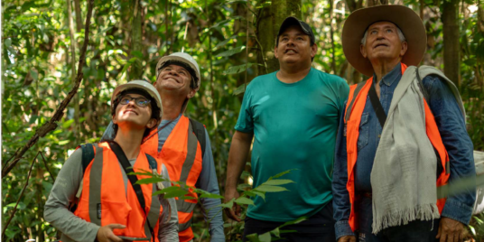 Ecosystem Restoration in the Amazon / Restauración de Ecosistemas en la Amazonía