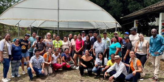 Aquaponics: Sustainable Agriculture to Tackle Food Insecurity / Acuaponía: agricultura sostenible para combatir la inseguridad alimentaria