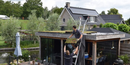 Green roofs