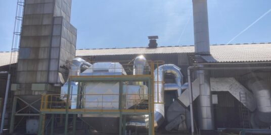 Sustainable Industrial Transformation