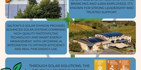 Saltoki E-Solar: A Futuristic and Sustainable Energy