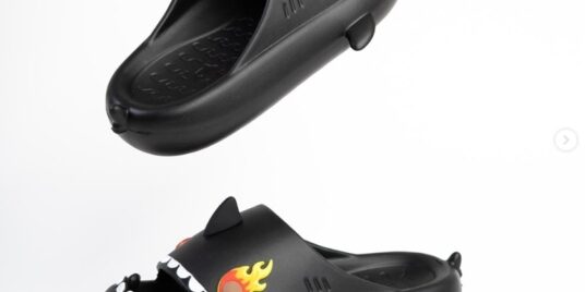 La historia de Sharklas