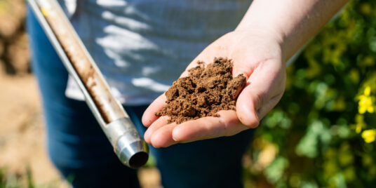 Loam Bio: Capturing Carbon at Gigaton Scale with the Help of Microbes