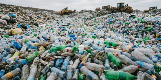 Wealth Creation from Waste Segregation