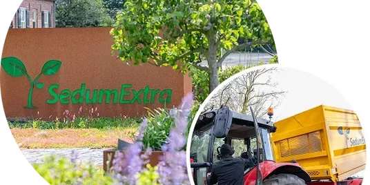 Sustainable SedumExtra