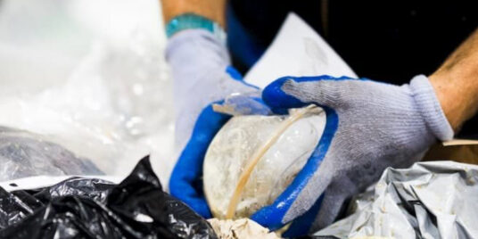 Restoring Homes and the Planet