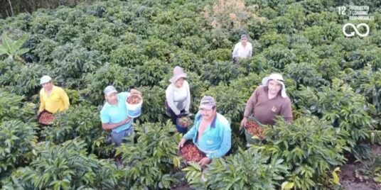 Transformando el café a través del agua, la dignidad y la sostenibilidad