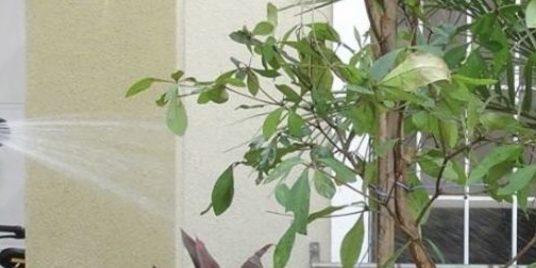 Equilibratum