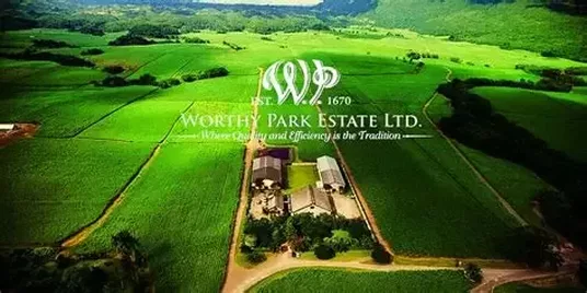 Worthy Park Estate: Leading the Charge Toward  Clean Energy in Jamaica