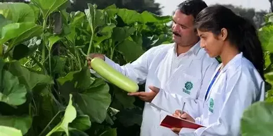 VNR Seeds Building a Better Future for Farmers