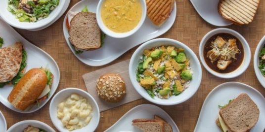 Combatting Food Insecurity: Panera's Day-End-Dough-Nation's Contribution to the Community
