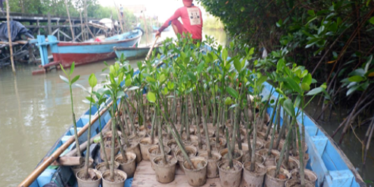 Empowering Youth Through Film and Sustainability