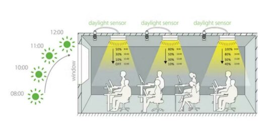 Lighting the Path to Sustainability