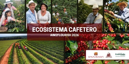 The Ecosystem Transforming the Lives of Coffee Farmers in Colombia/El ecosistema que transforma la vida de los caficultores en Colombia