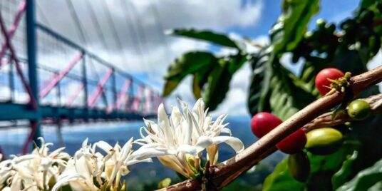 Where tourism transforms the territory | Donde el turismo transforma el territorio