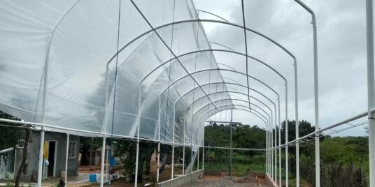 Greenhouses with seawater / Invernaderos con agua de mar