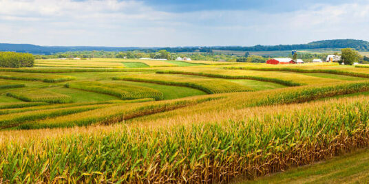 Flourishing Through Regeneration: Ingredion’s Global Journey Toward Sustainable Sourcing