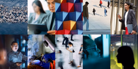 World Saving Risk Consulting