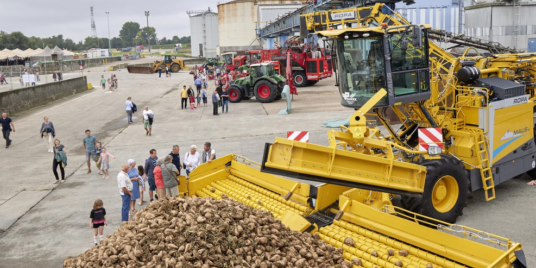 Sustainable Sugar Rush